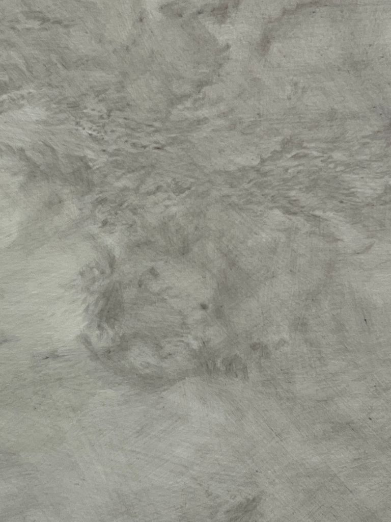 Early detailed detail 1