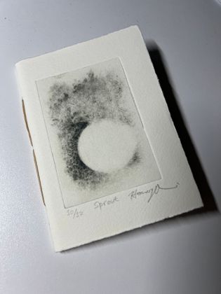 Artist Book_Sprout