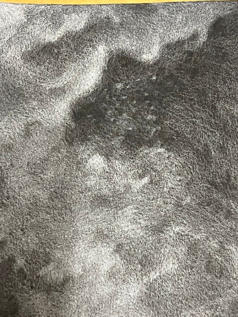 White on Black detail 4