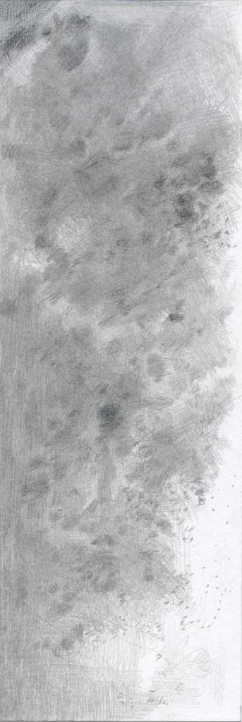 No. 051