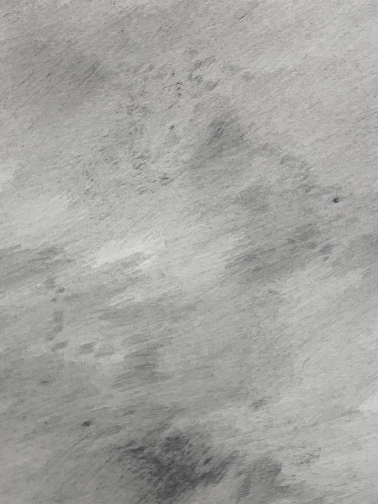 Bottom-left to top-right detail 9