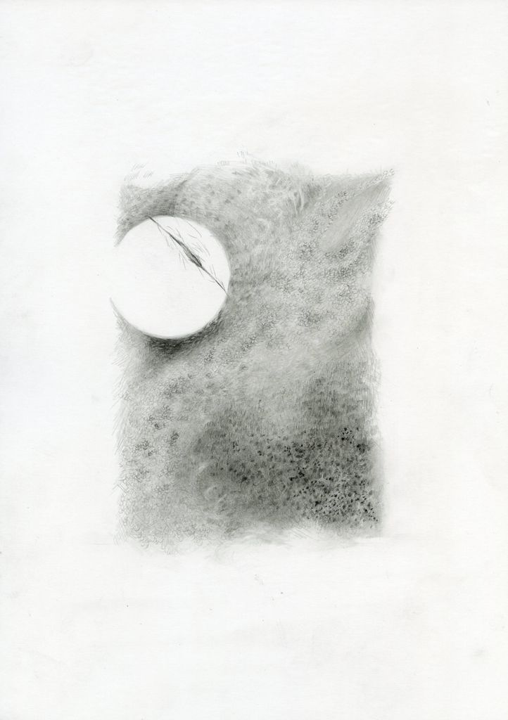 small study 15_Suture