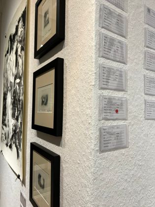 Mini Max Prints 2025 view 1