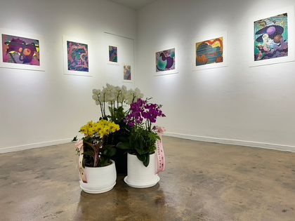 Sweetie, Please collapse my wave function view 8